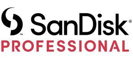 SanDisk Professional